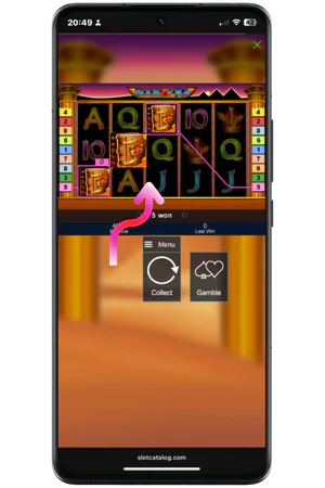 Book Of Ra slot game winning combination on mobile