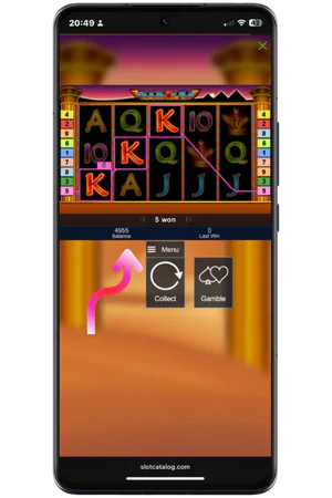 Book Of Ra slot bet settings on mobile screen