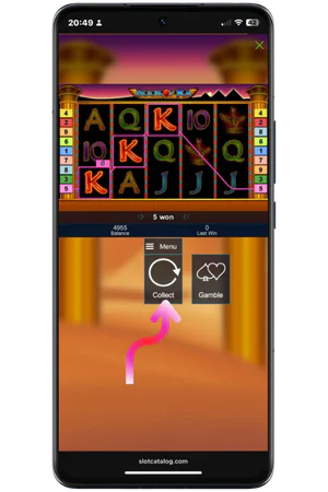 Book Of Ra slot reels spinning on mobile device