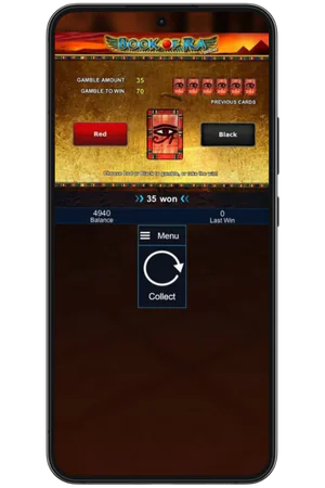 Fonction gamble de Book of Ra avec choix de carte rouge et noire